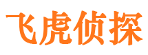 山西市侦探公司